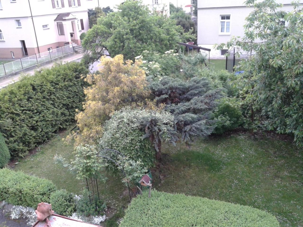 Villa Shafaly Marianske Lazne Exterior photo